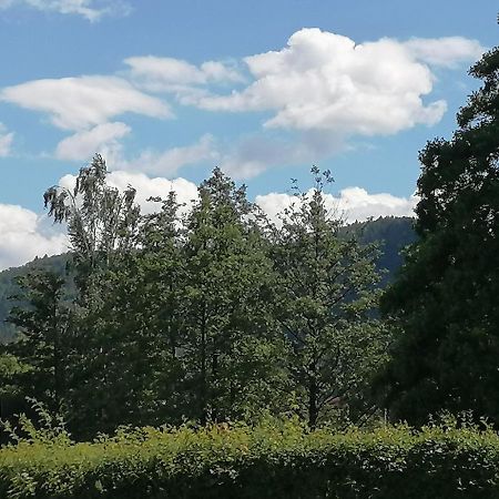 Toepferblick Leilighet Olbersdorf Eksteriør bilde