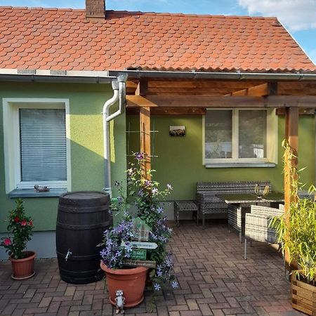 Toepferblick Leilighet Olbersdorf Eksteriør bilde